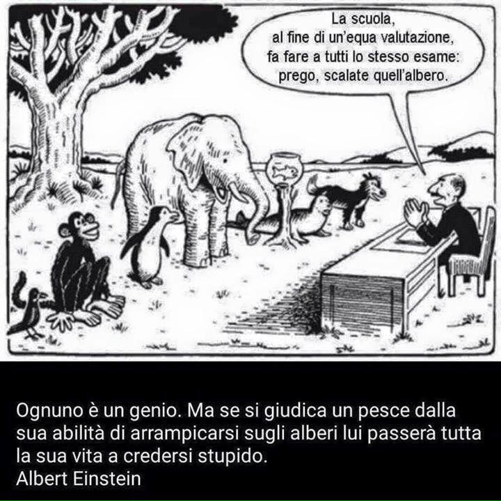 17309063_1270942133002671_8197353758714568459_n